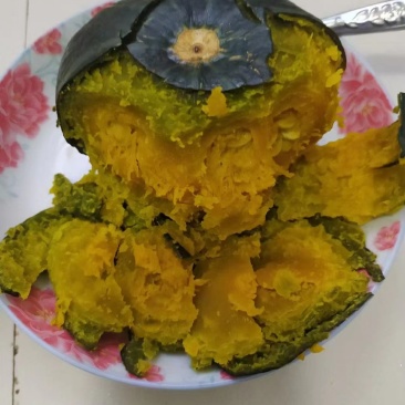 广西横州贝贝贝贝南瓜大量供应
