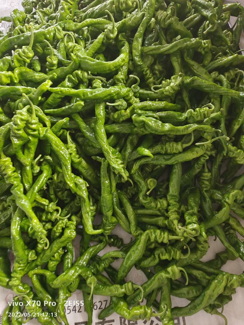 螺丝椒