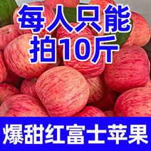 【冰糖心】新鲜红富士苹果丑苹果现摘新鲜苹果水果1/5/1