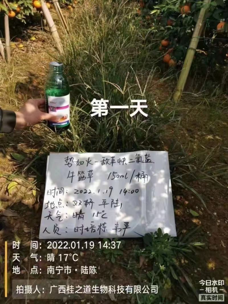 敌草快二氯盐，看的见的效果，正规产品可上柜，欢迎选购。
