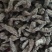 生地个~2级货~新货~1公斤起售~量大从优~