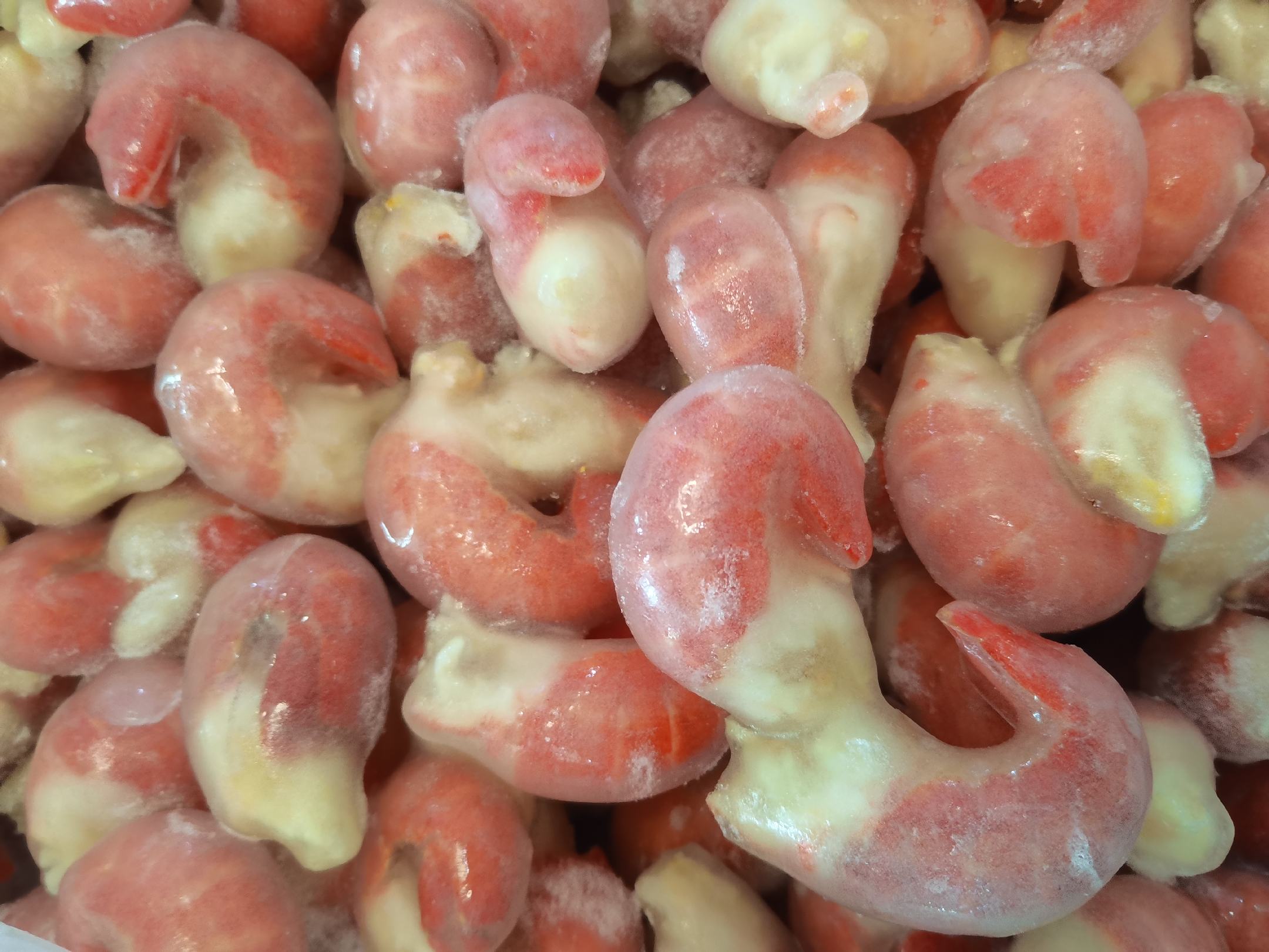 鲜活小龙虾市场供应图