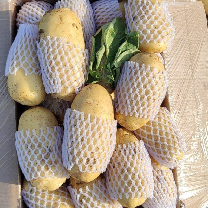 靓货土豆，全国发货，看质量讲诚信，量大质量好