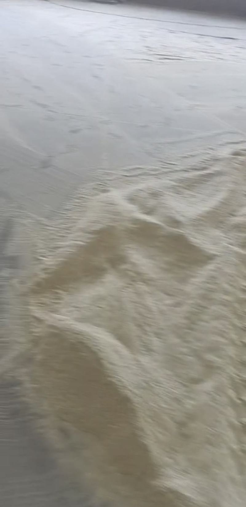 干豆渣猫砂专用晾晒粉碎豆渣，工厂直价格便宜
