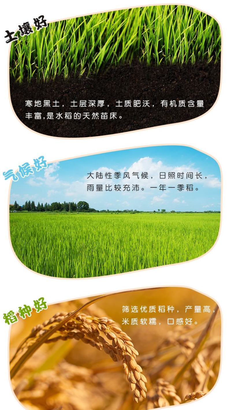 东北大米黑土地黑龙江秋收新米珍珠米厚帝秋田小町米厂直发