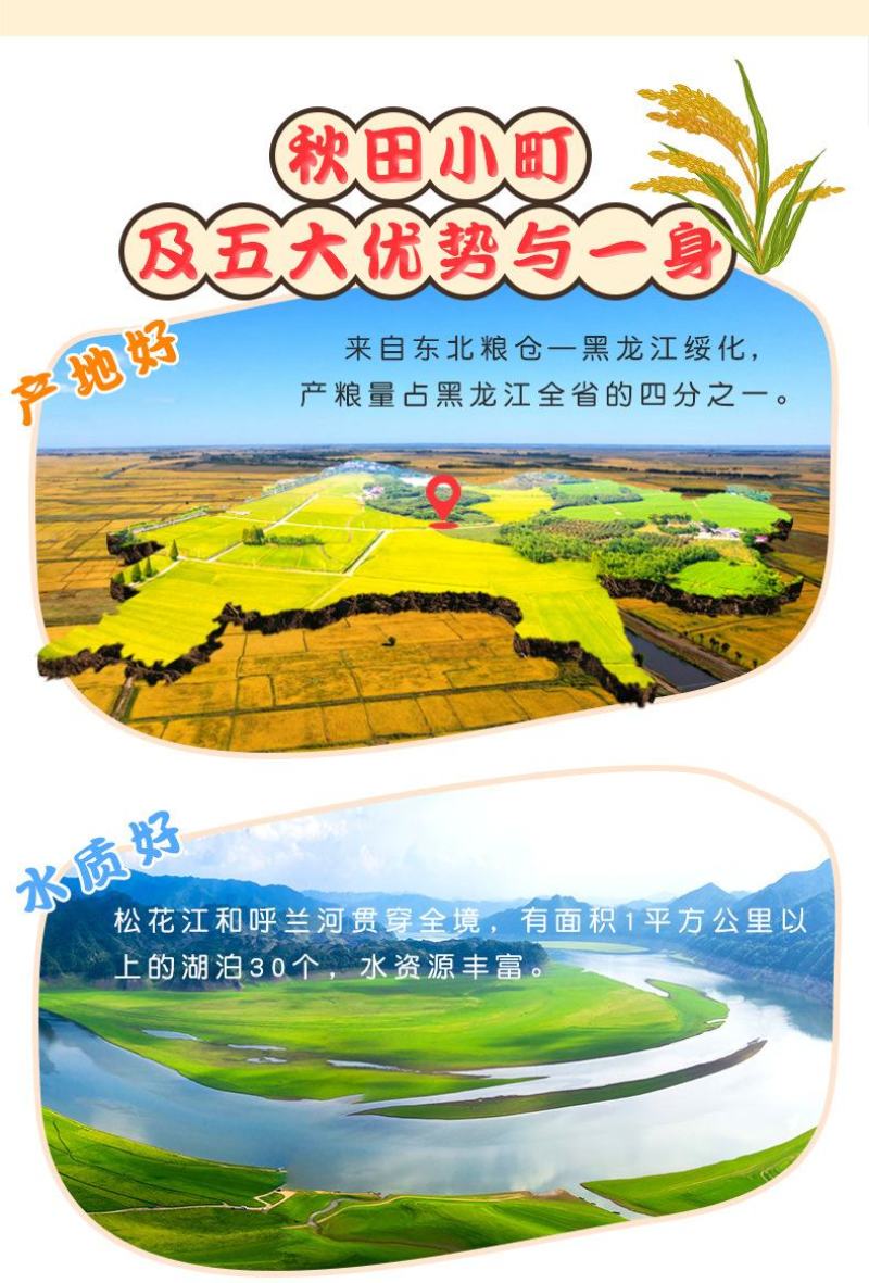 东北大米黑土地黑龙江秋收新米珍珠米厚帝秋田小町米厂直发