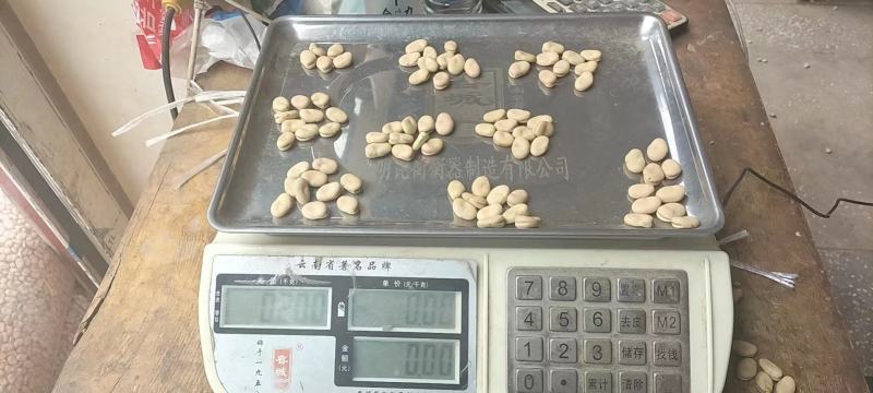 楚雄干蚕豆，850粒左右大小，大量供，可供厂家，价格随行