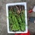 无毛甜像草苗基地直供一手货源诚信经营对接批发商