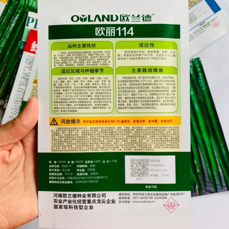 欧丽114深绿色光亮特长型线椒种子黑线椒辣味浓椒条顺直