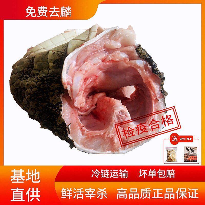 全皮鳄鱼肉，新鲜现宰现卖，规格2/3斤真空包装！顺丰包邮