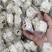 雪花青稞酥，纯粮食制作而成，甜而不腻，回味无穷，