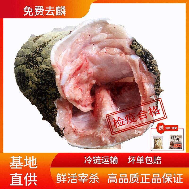 全皮鳄鱼肉，新鲜现宰现卖，规格2/3斤真空包装！顺丰包邮