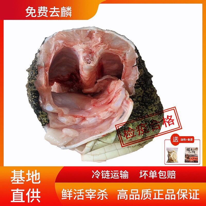 全皮鳄鱼肉，新鲜现宰现卖，规格2/3斤真空包装！顺丰包邮