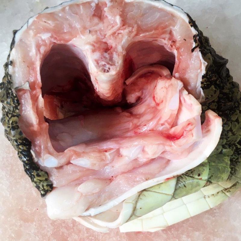 全皮鳄鱼肉，新鲜现宰现卖，规格2/3斤真空包装！顺丰包邮