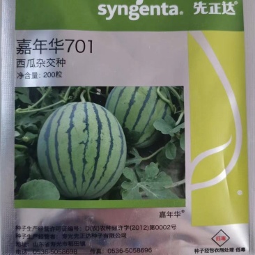 嘉年华701西瓜种子皮薄抗病抗裂含糖量高大红瓤易管理