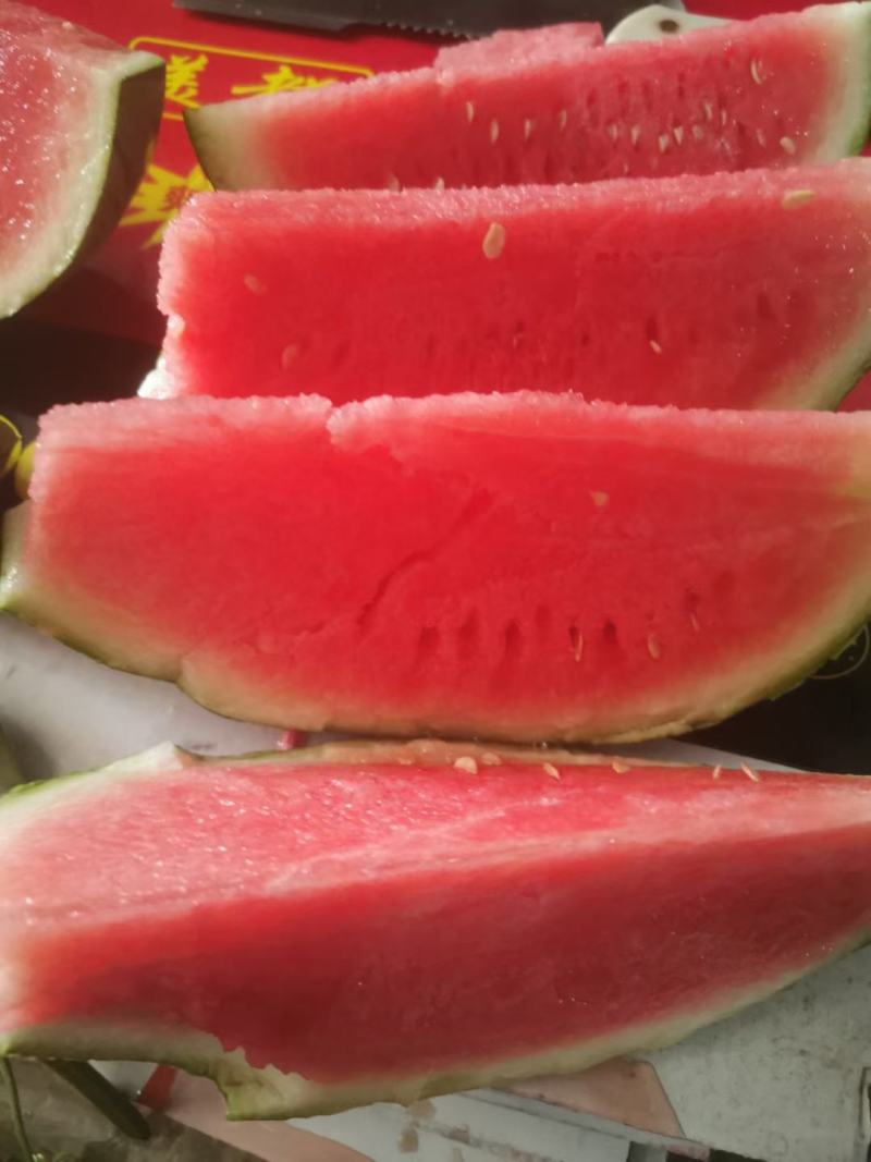 嘉年华701西瓜种子皮薄抗病抗裂含糖量高大红瓤易管理