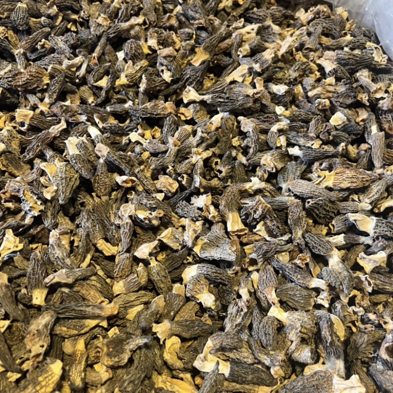 小个羊肚菌实拍，性价比高500g一斤159元