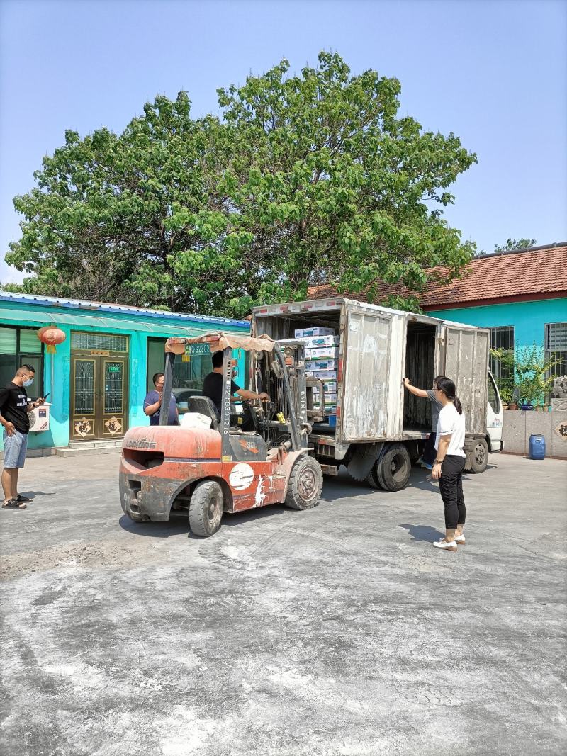 [出厂价]大量元素水溶肥平衡高磷高钾肥[带检测报告]