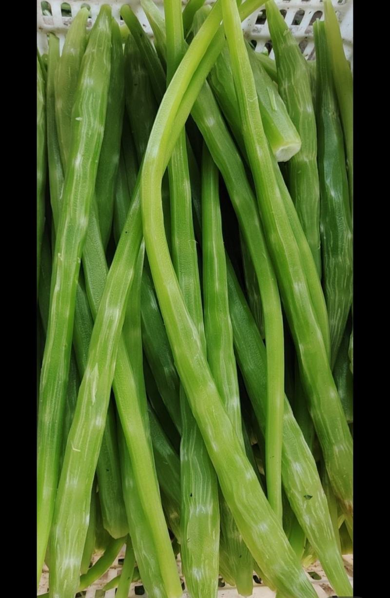 莴笋肉