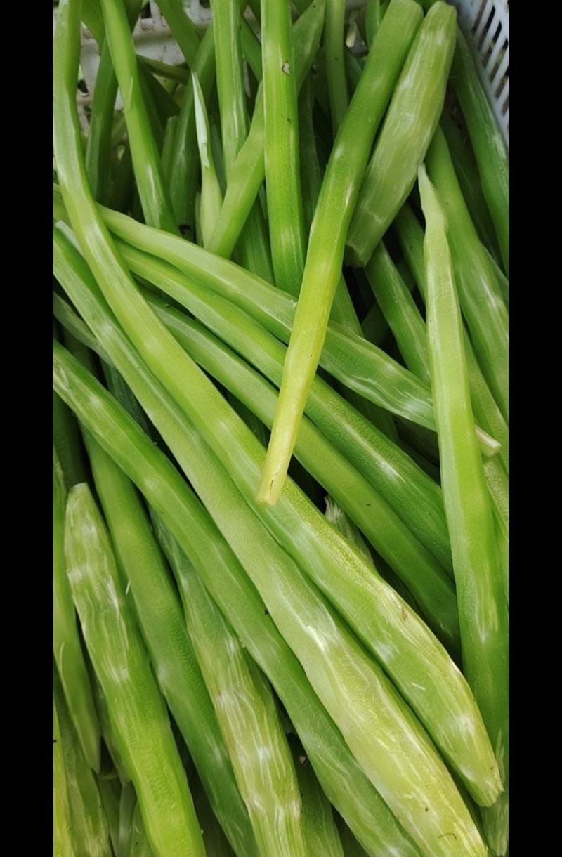 莴笋肉