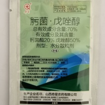 奇星70%肟菌酯戊唑醇杀菌剂有效防治炭疽病叶斑病