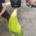 糯玉米