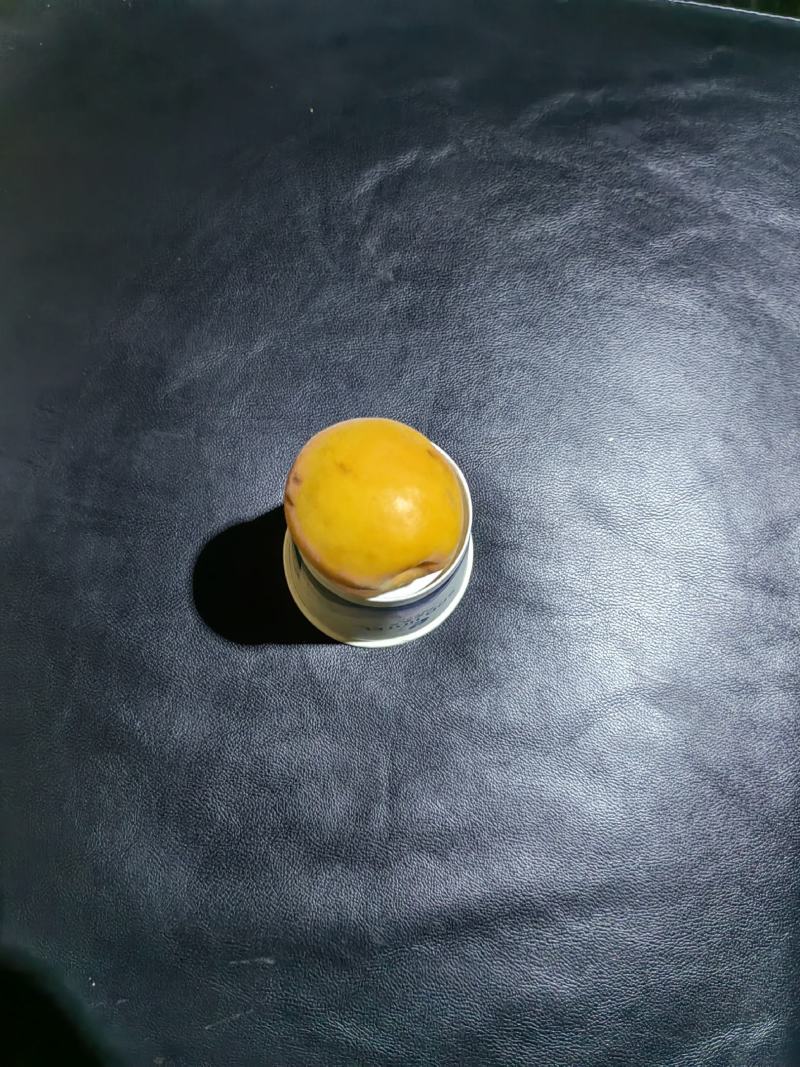 洛阳，优质，大甜杏