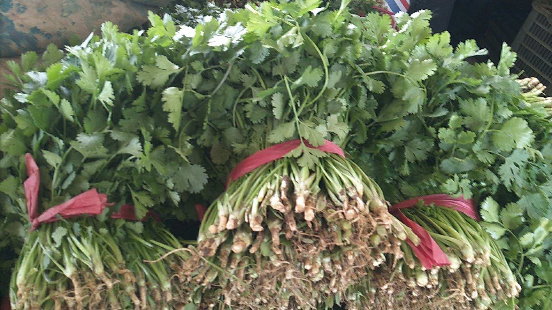 香菜作为调料点缀菜肴