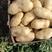 土豆，天水武山洛门226土豆上市了，个头均匀，无虫眼