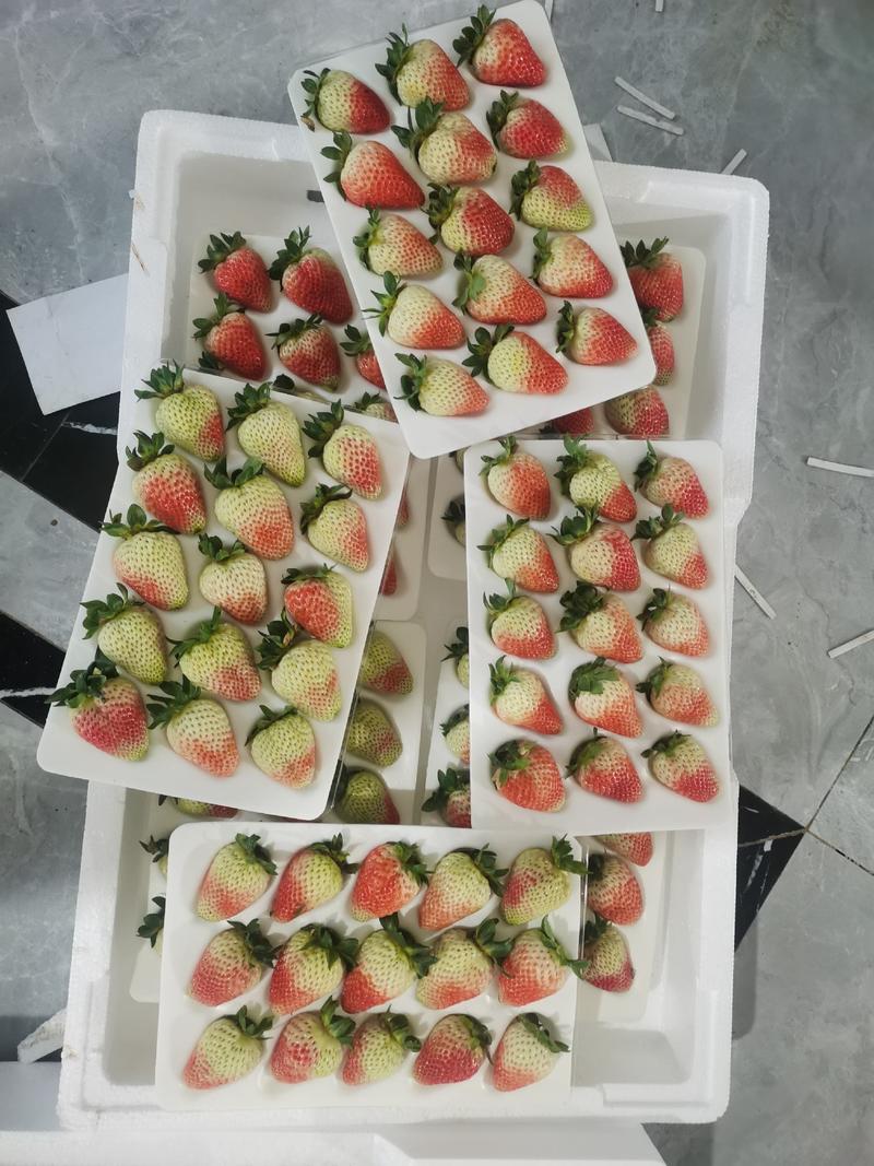 云南蒙特瑞草莓