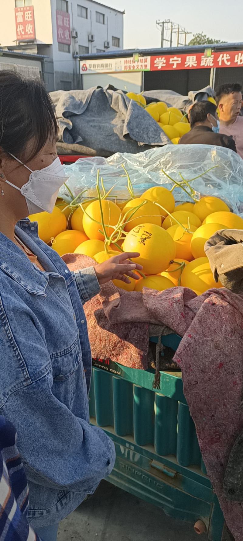 瑞红，久红瑞甜瓜，原产地代收，对接各电商平台，货源充足
