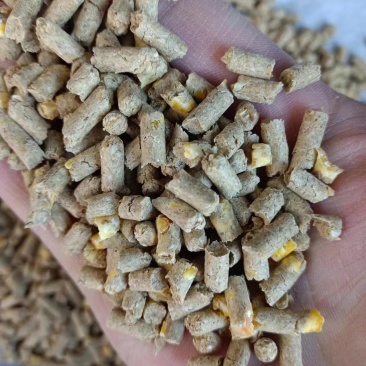 颗粒饲料，适合鸡，鸭，鹅，全价料，物美价廉！需要的联系我