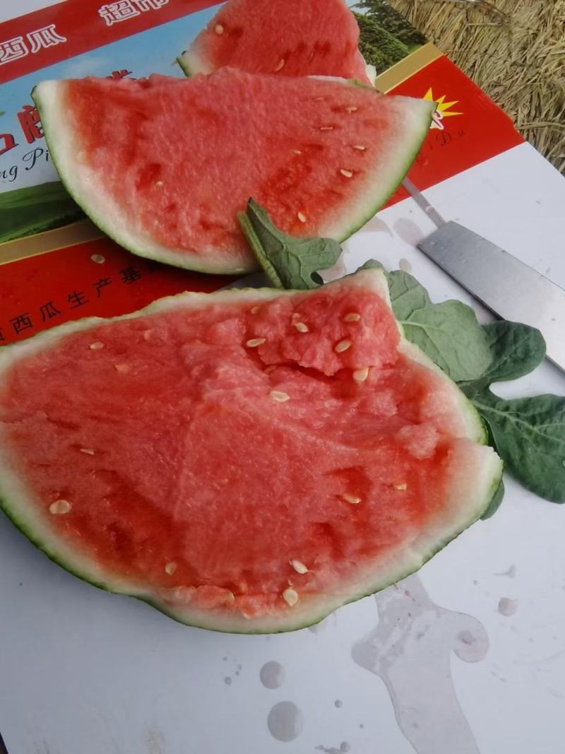 无籽美都