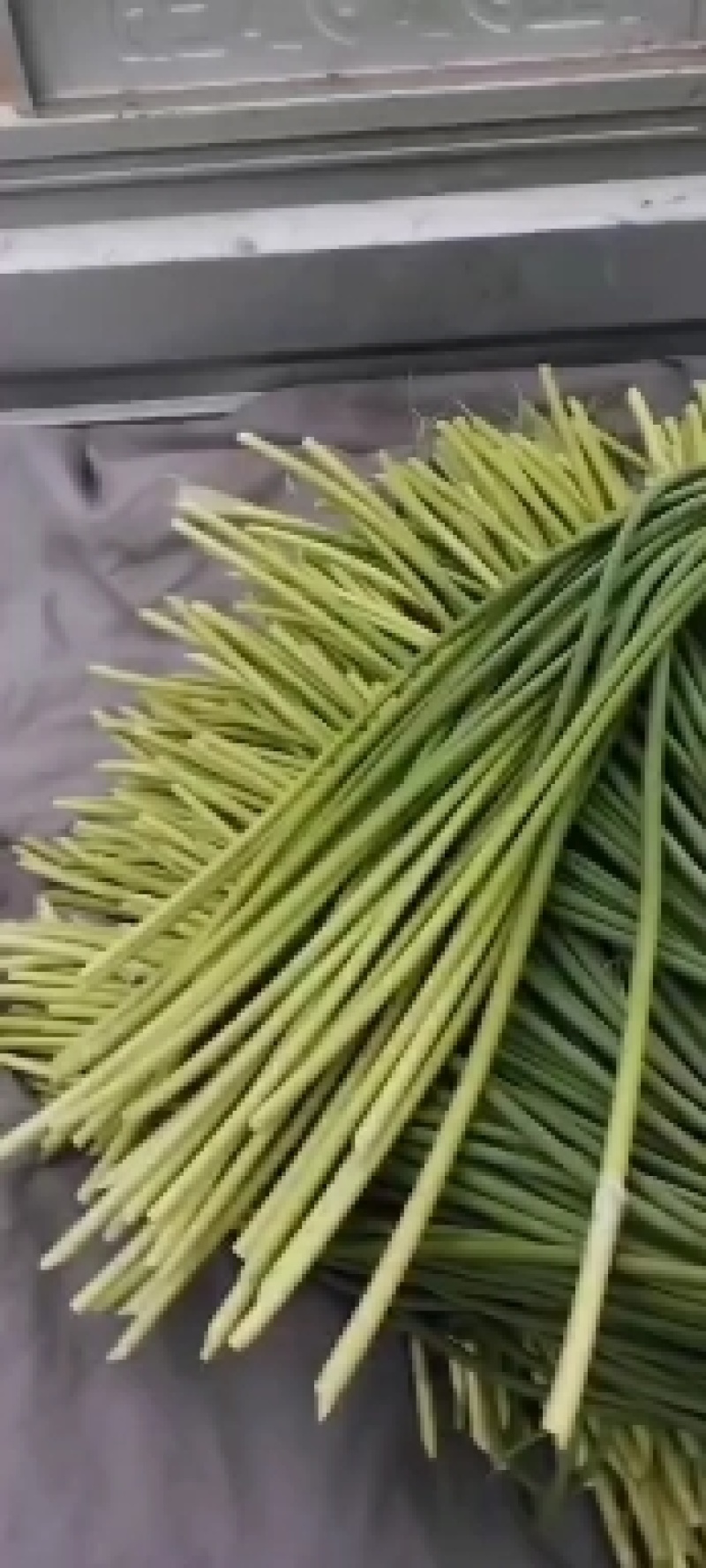 红帽蒜苔量大鲜绿色