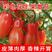 特色番茄黑珍珠小番茄千禧迷彩小番茄苗货源充足欢迎选购