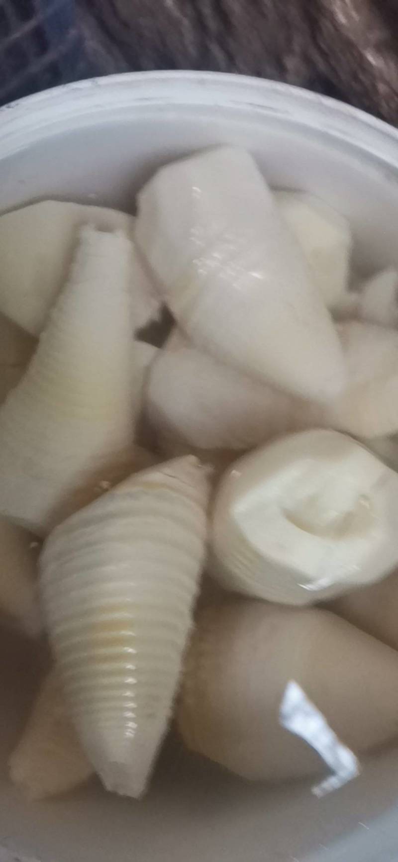 笋干