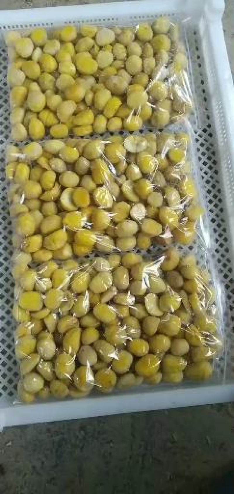 板栗板栗仁广西油栗