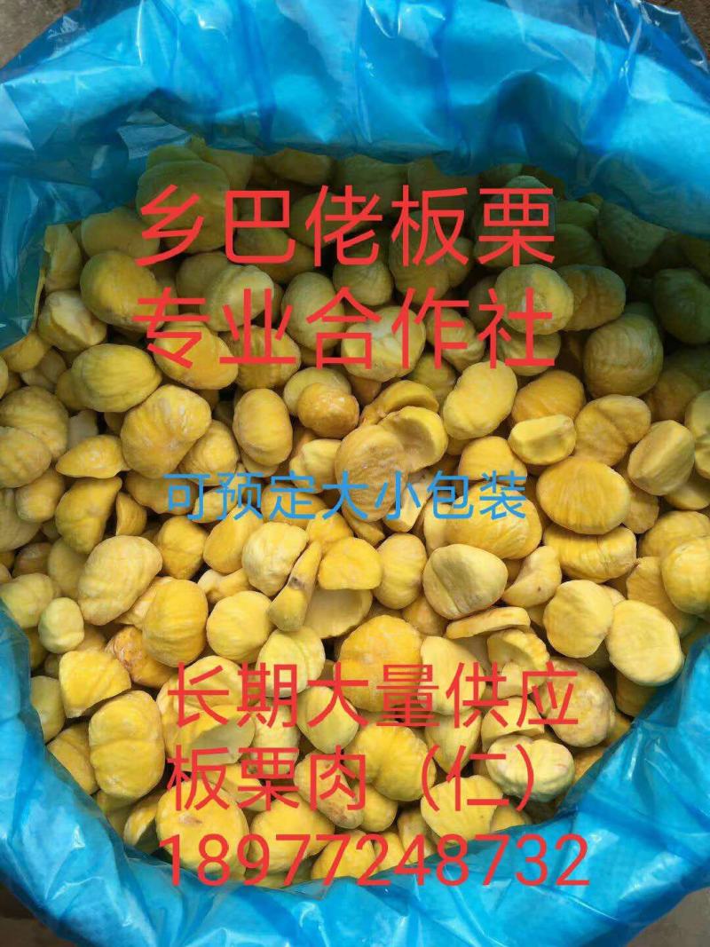 板栗板栗仁广西油栗