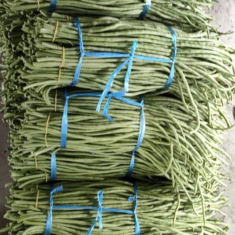 长豇豆加工厂