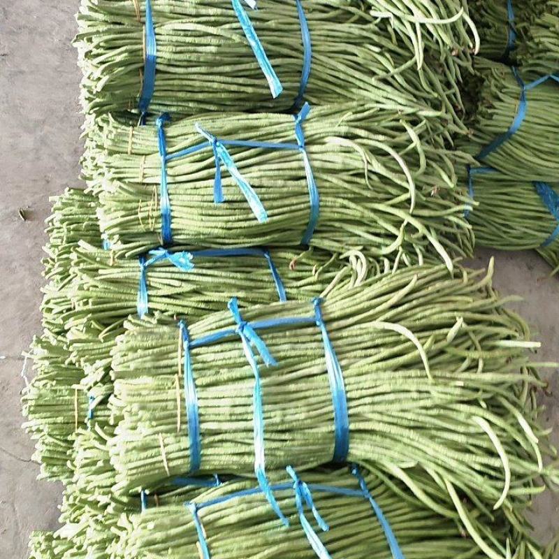 长豇豆加工厂