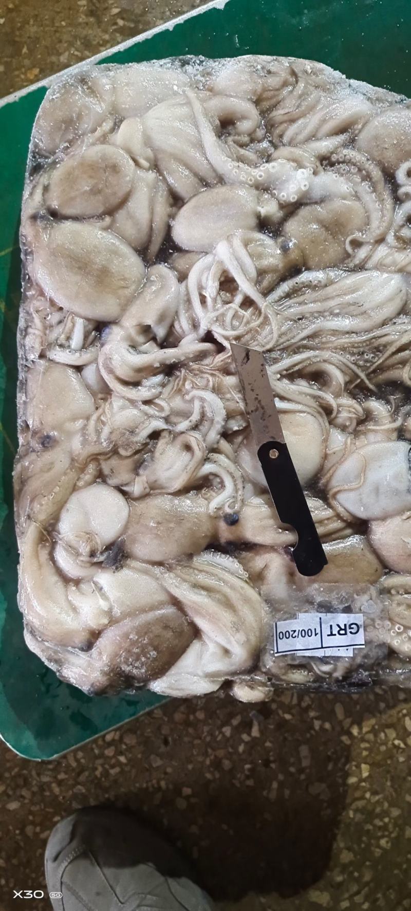 板冻八爪鱼/章鱼短腿八爪原浆干冻无泡水