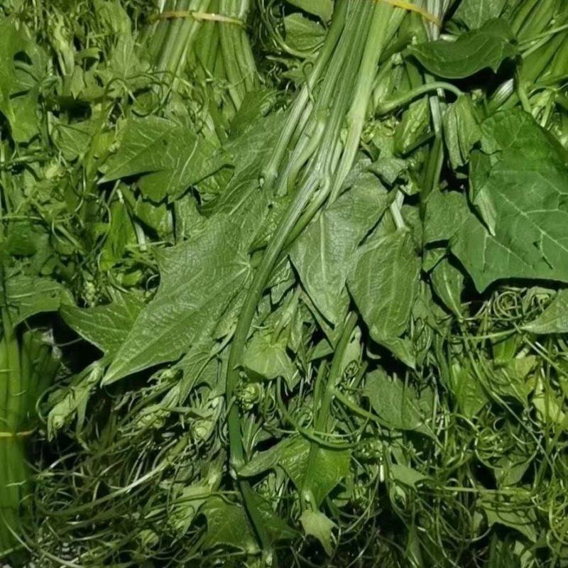 贵州龙须菜，，佛手瓜尖，可发全国各地，空运汽运一条龙服务