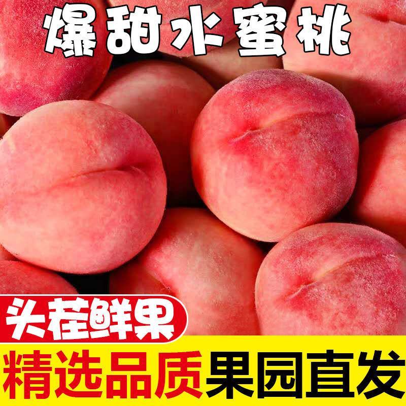 新鲜水蜜桃3/5/10斤毛桃现摘当季水果应季脆甜桃子时令