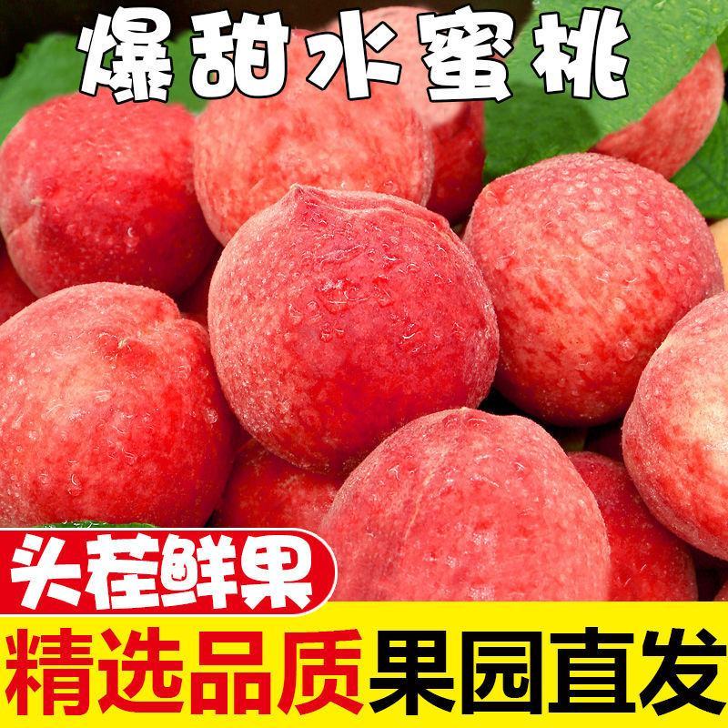 新鲜水蜜桃3/5/10斤毛桃现摘当季水果应季脆甜桃子时令