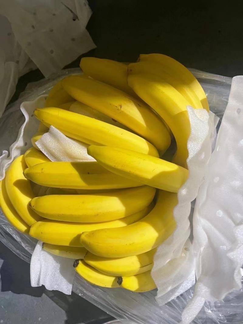 【精选】香蕉全年供应，规格齐全，价格便宜，量大从优