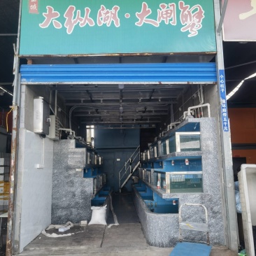 各类淡水鱼