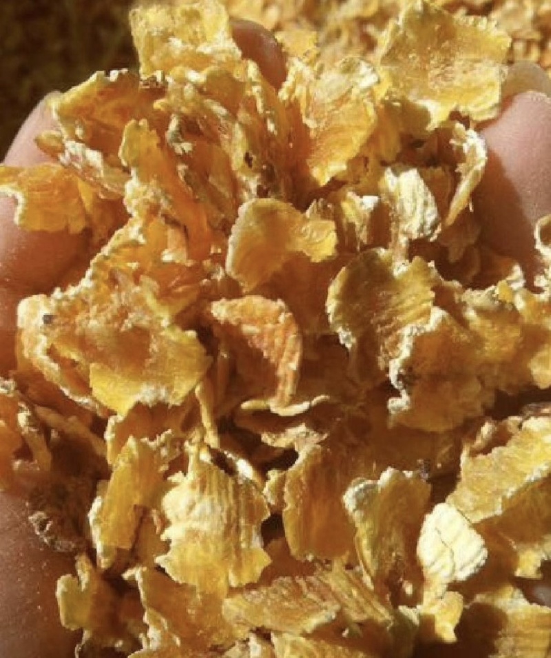 玉米压片厂家批发玉米压片蒸汽压片玉米品质保证