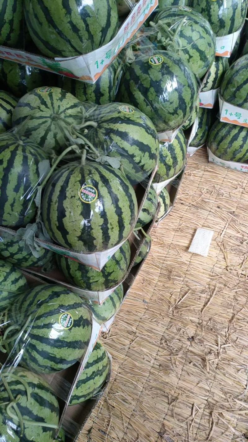夏邑县大棚8424西瓜711西瓜一手货源，产地发货
