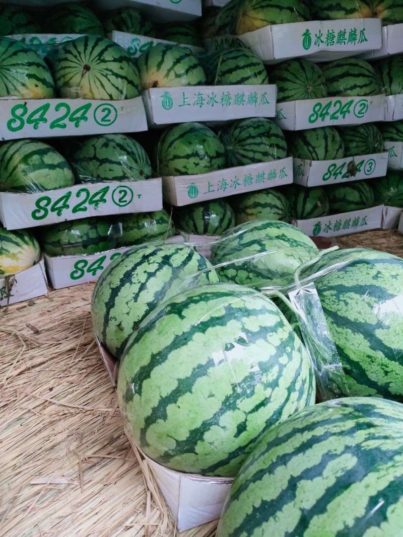 夏邑县大棚8424西瓜711西瓜一手货源，产地发货