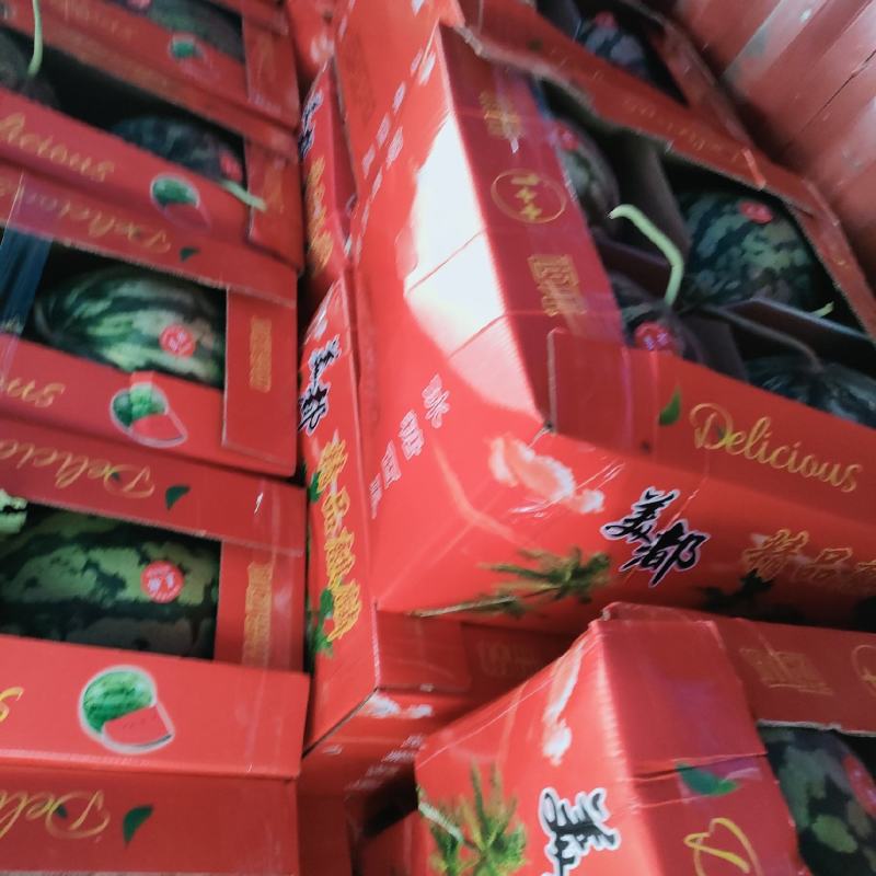 夏邑县大棚8424西瓜711西瓜一手货源，产地发货